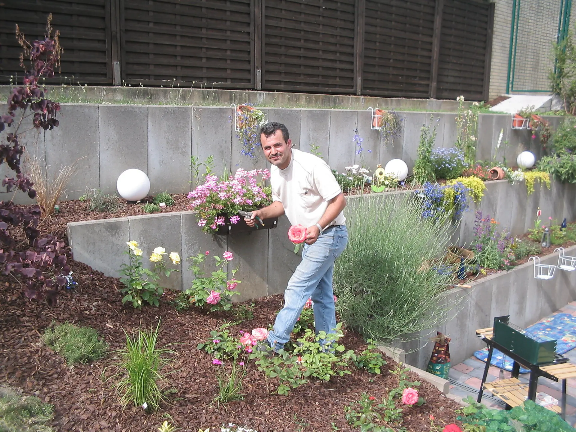 Terrassierter Hanggarten mit Rosen, Lavendel und Betontreppen